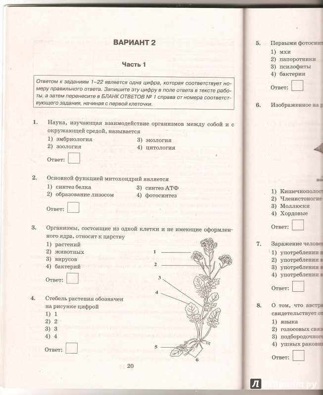 Тесты по биологии - биология, 5-9 классы, 100 заданий