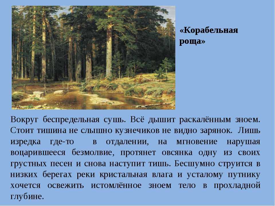 Сочинение по картине зима в лесу. иней шишкина 3 класс описание
