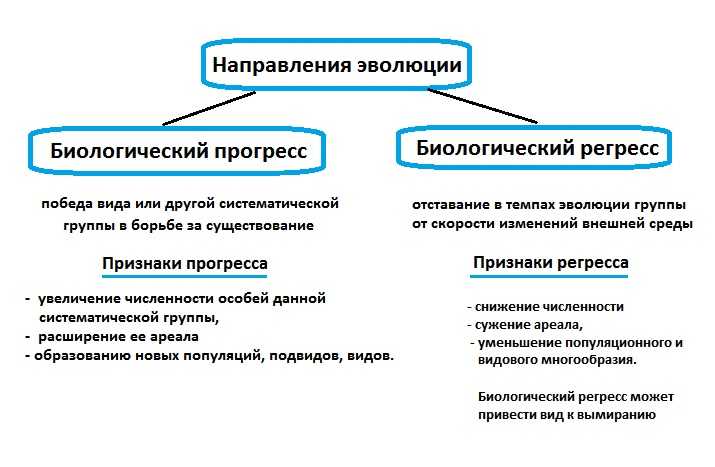 Тест по биологии развитие эволюционных идей. значение работ ж. бюффона, ж. б. ламарка, ч. дарвина. синтетическая теория эволюции 11 класс