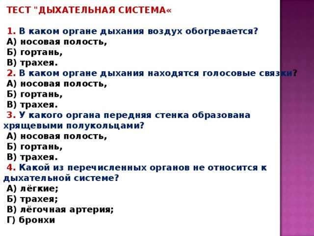 Тест по биологии (8 класс) с ответами онлайн для подготовки к годовой контрольной работе