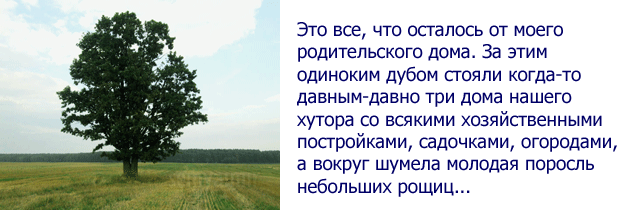 Анализ стихотворения фета одинокий дуб