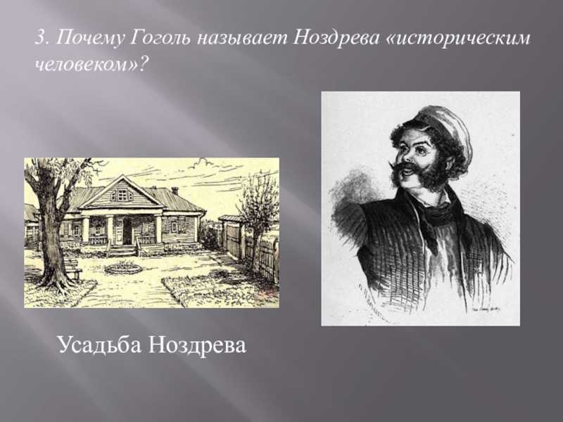 Характеристика ноздрева из произведения гоголя «мертвые души»: описание внешности, характера, семьи и хозяйства помещика