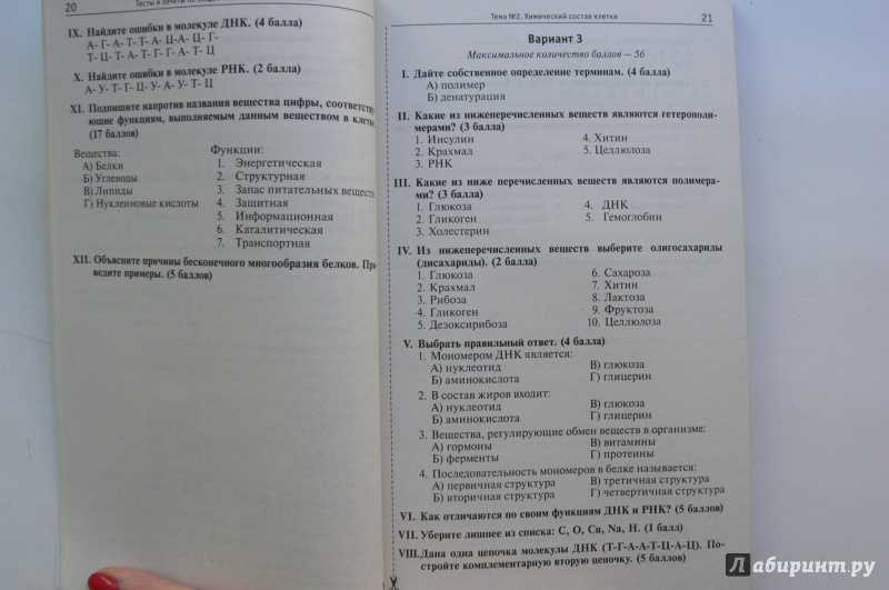 Ответы по биологии 11 класс