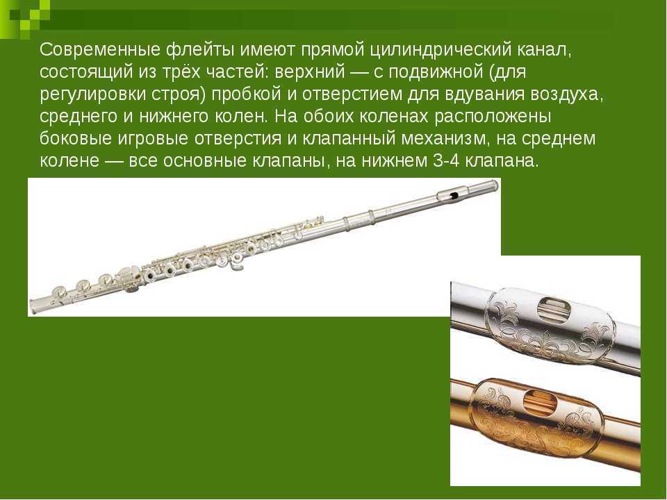 Флейта: что это такое, строение инструмента, звучание, история происхождения, виды | plastinka-rip.ru