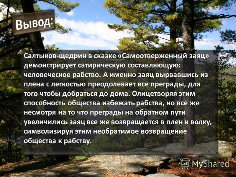 Михаил евграфович салтыков-щедрин: анализ сказки "самоотверженный заяц"