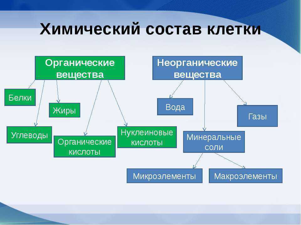 Тест по биологии по теме «химический состав клетки» | doc4web.ru