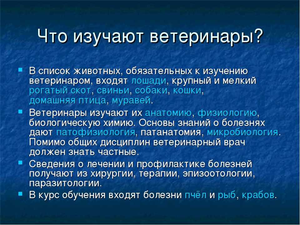 Ветеринарные вузы и колледжи беларуси: куда поступать? | адукар