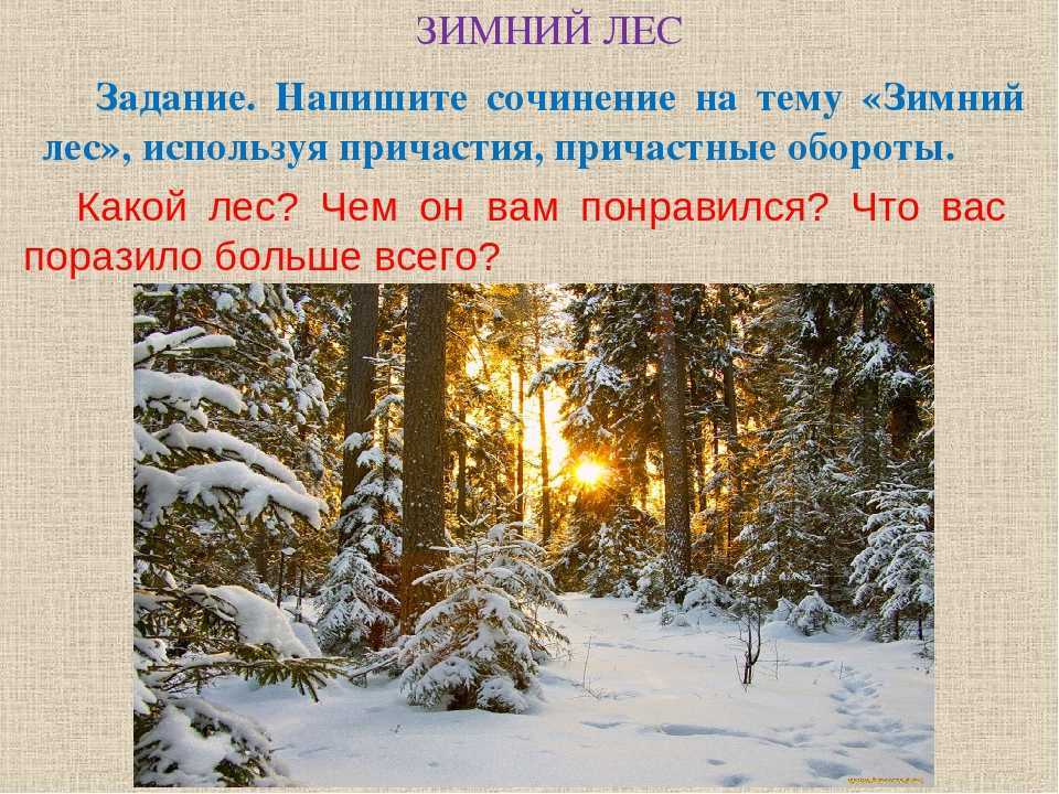 Сочинение на тему лес зимой или зимний лес
