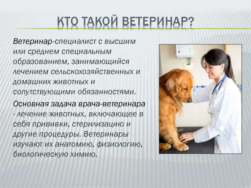 Сборники тестов по Ветеринарной медицине для студентов и преподавателей Более 50 различных тестов с ответами