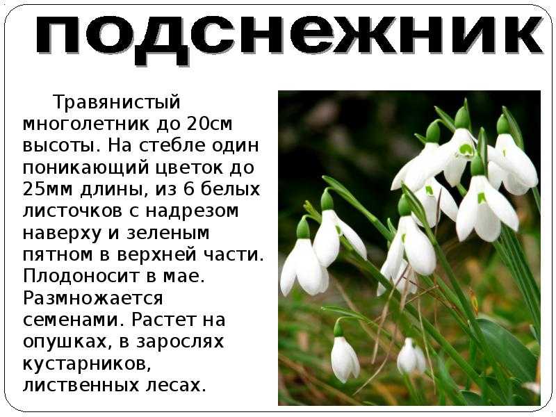 Самые древние народы в мире: топ-10