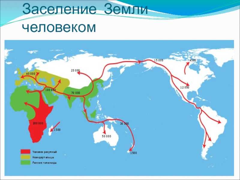 Заселение земли человеком численность