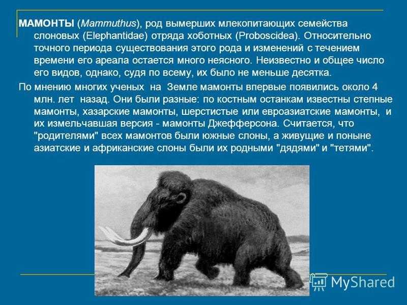 Datalife engine > версия для печати > мамонты - доклад сообщение краткое 5 класс история
