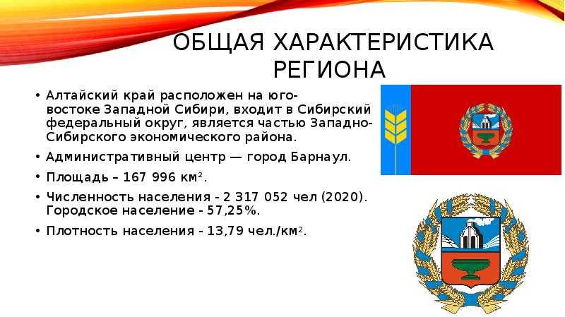 Верблюд - виды, фото, где живет, что едят, описание, размножение