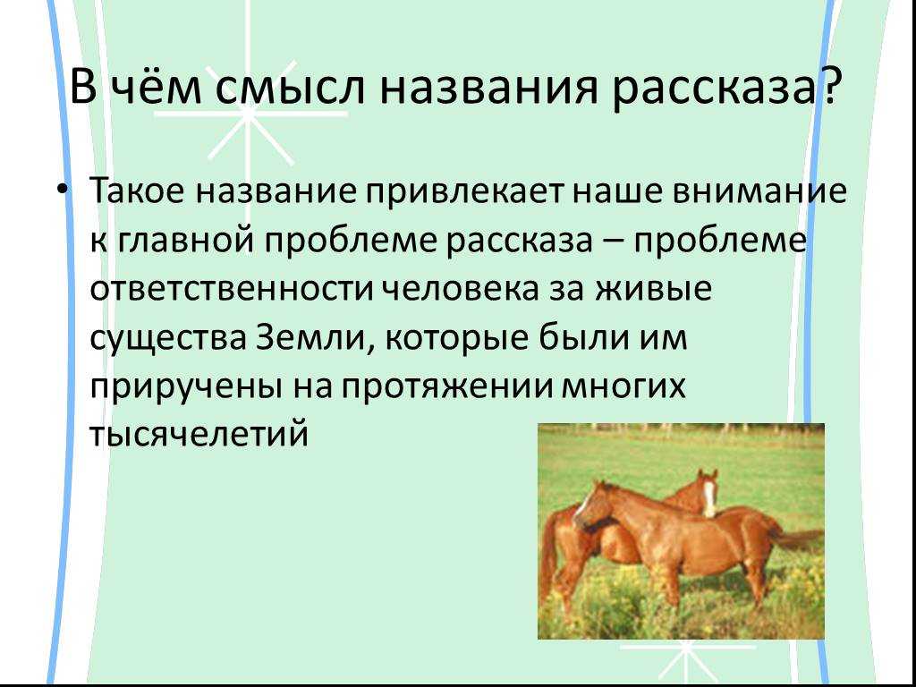 Тест по литературе о чем плачут лошади. О чём плачут лошади. Ф. Абрамова "о чём плачут лошади". О чем плачут лошади: рассказы. О чём плачут лошади о чем.