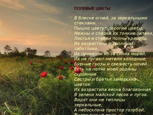 Найти все средства выразительности языка в стихотворении а.фета "ночь крещенская морозна "   ночь кр - узнавалка.про