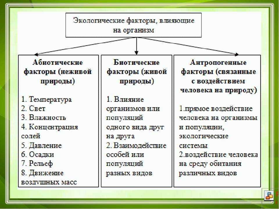 Тест по биологии экология. среды жизни и экологические факторы: абиотические, биотические и антропогенные 11 класс