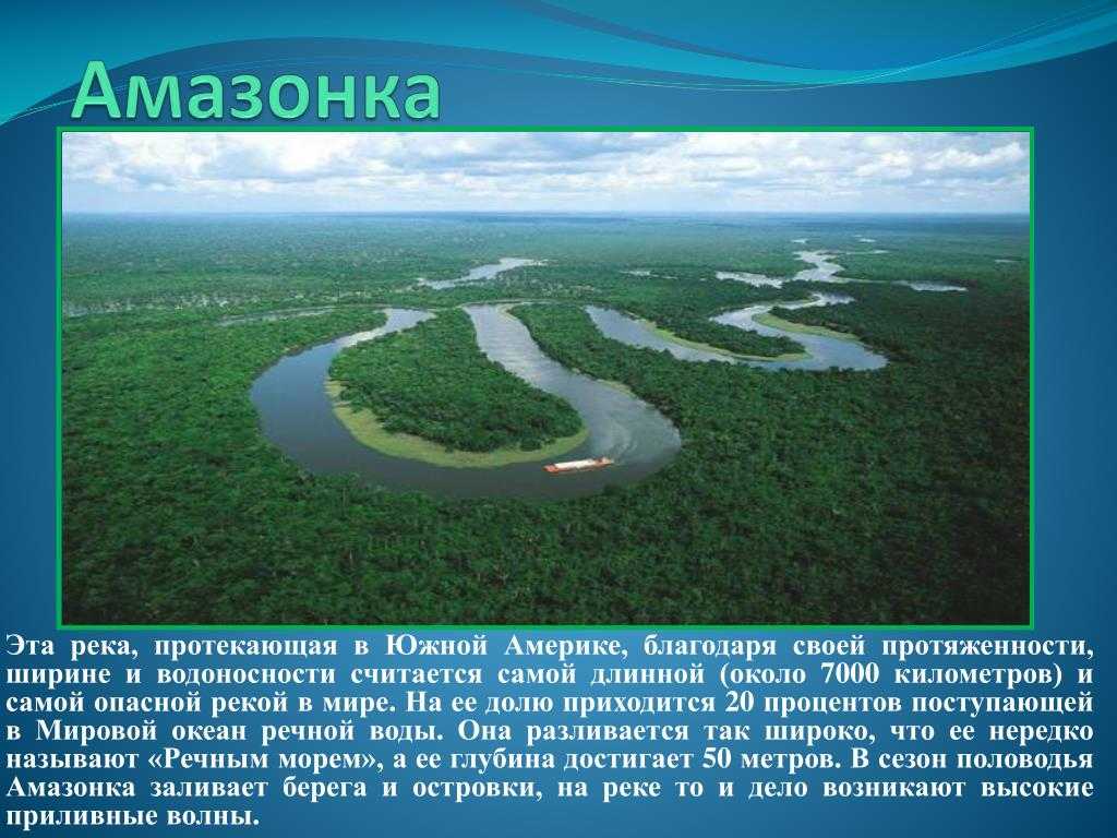 Самая длинная река на свете. Протяженность амазонки. Амазонка протекает по странам.