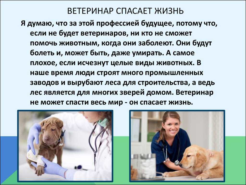Методы лабораторной диагностики инфекционных заболеваний животных