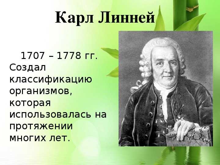 Тест по биологии химический состав клетки 6 класс