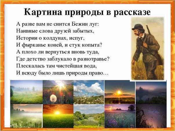 Сочинение на тему описание природы в рассказе бежин луг, тургенев читать бесплатно. «роль пейзажа в рассказе тургенева «бежин луг