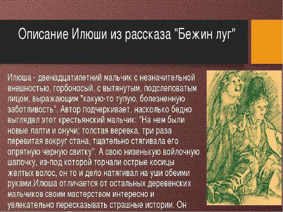 Бежин луг сколько рассказов. Образ Илюши Бежин луг. Илюша Бежин луг. Тургенев Бежин луг Илюша. Характеристики ильюшм из Бежин Лу.