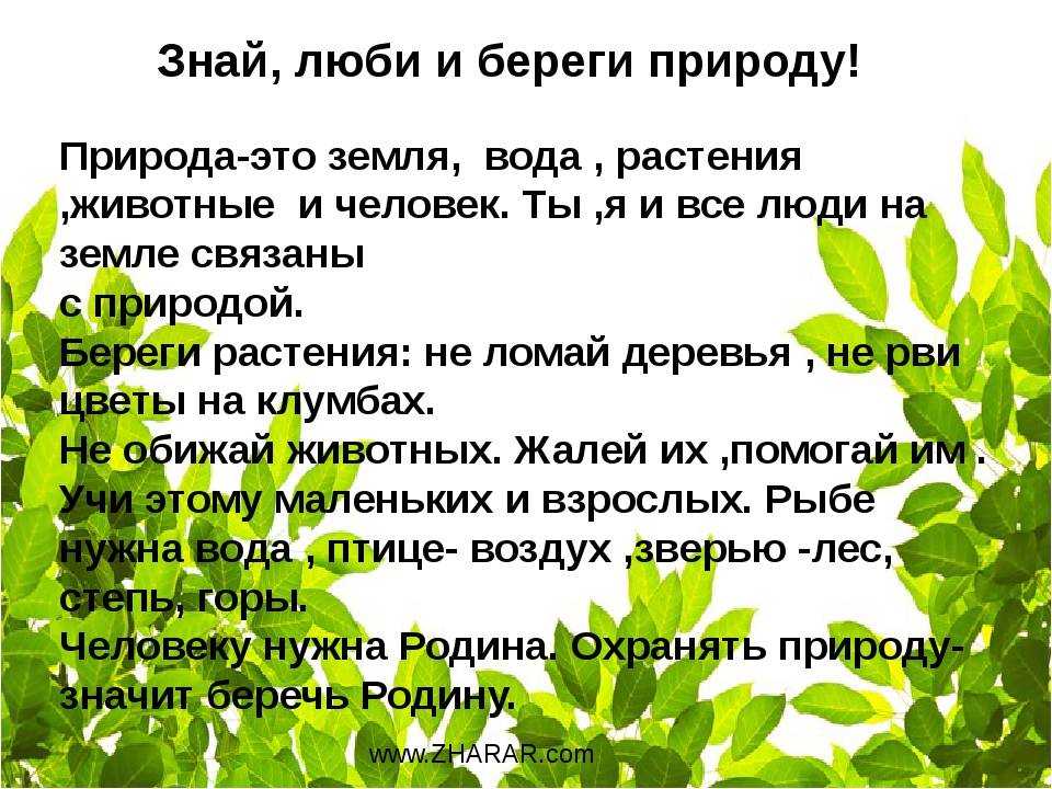 Сочинение берегите природу план