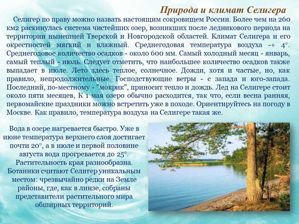 Билеты. вариант 1. билет 36 франсуа рабле – великий гуманист, писатель-сатирик, философ.
