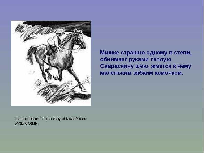 М. шолохов, «жеребенок». краткое содержание и анализ рассказа