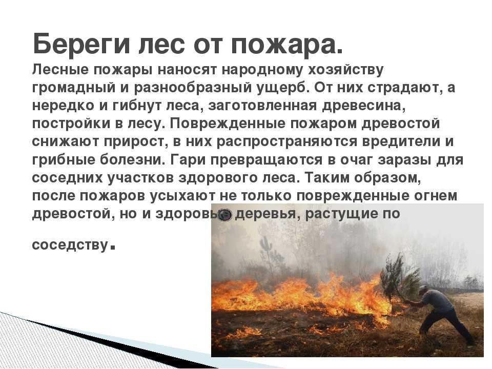 История создания драмы островского «гроза. история создания "грозы" островского