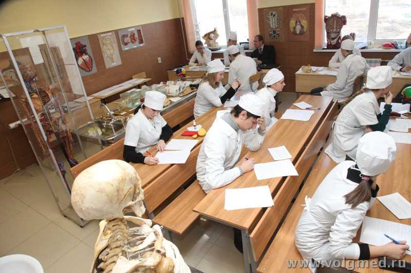 30 тестовых вопросов по Гистологии Для преподавателей и студентов медицинских ВУЗов при подготовке к экзамену, зачету, контрольной работе по биологии