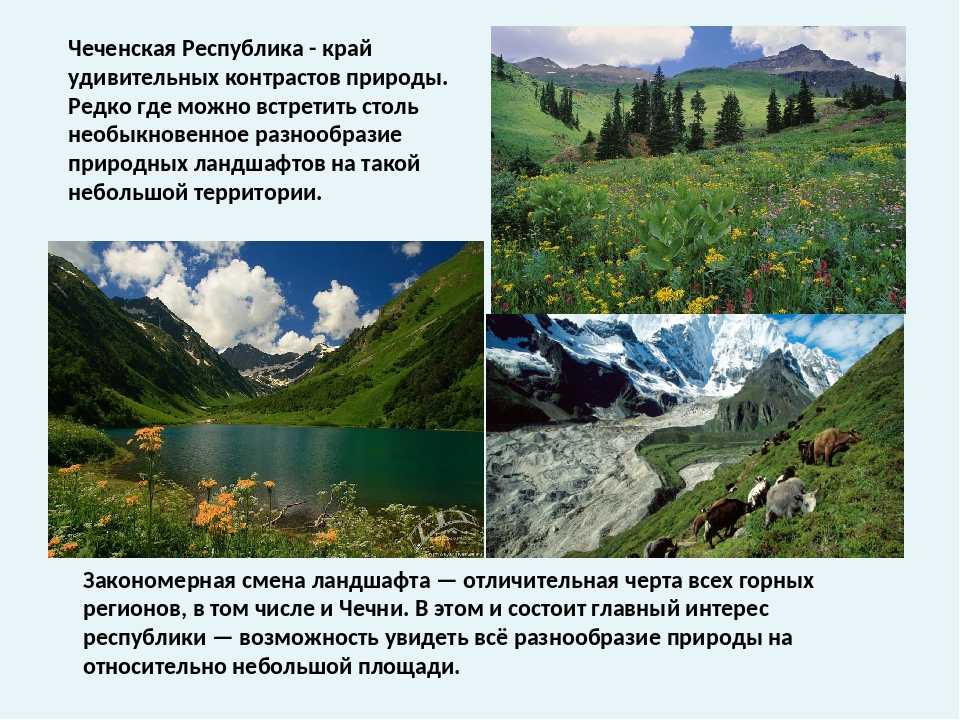 Особенности природы россии