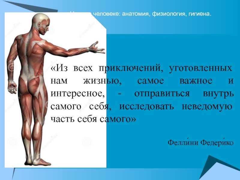 Тест по биологии (8 класс) с ответами онлайн для подготовки к годовой контрольной работе