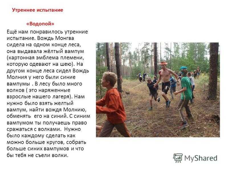 Сочинение летний лагерь (как я провел лето в лагере)